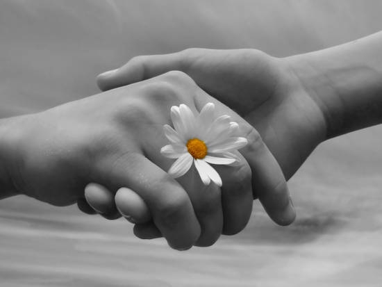 associazione-donneinsieme-header